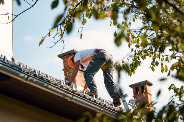 Best Roof Insulation Installation  in Chesapeake, OH