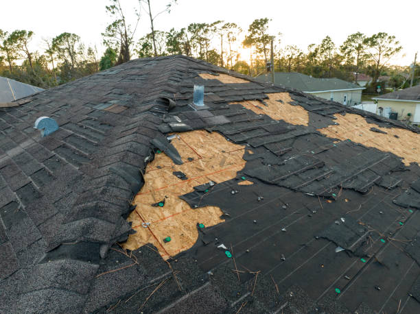 Best Steel Roofing  in Chesapeake, OH
